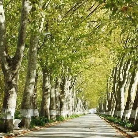 Pensao Lourenco Pensión 3*